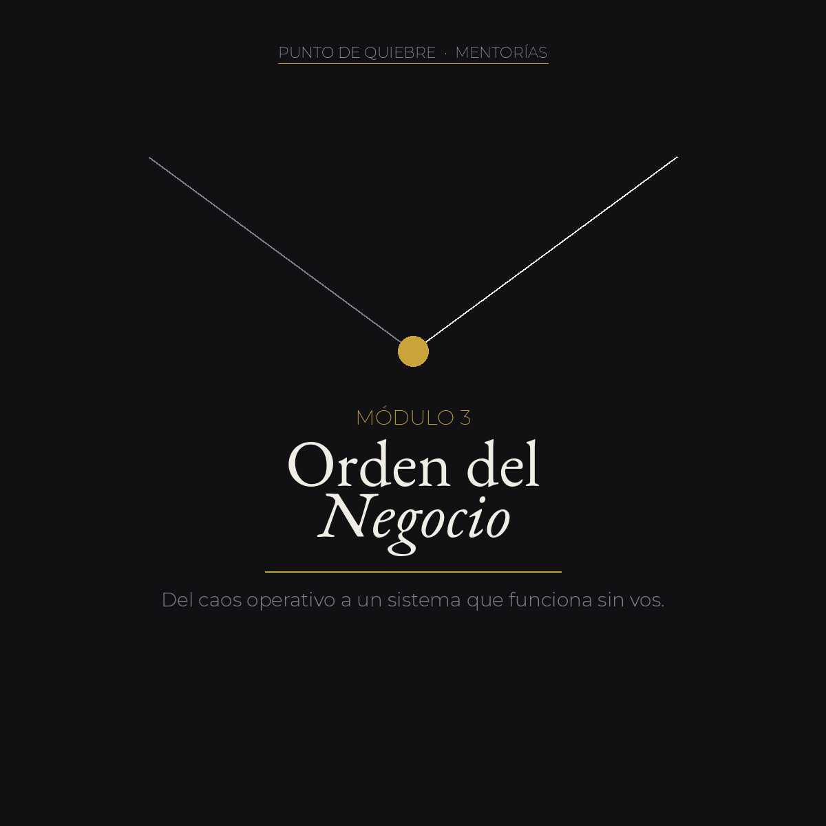 Orden del Negocio — Del caos operativo a un sistema que funciona sin vos